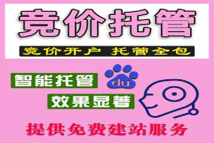 竞价托管实战案例：优化广告投放策略